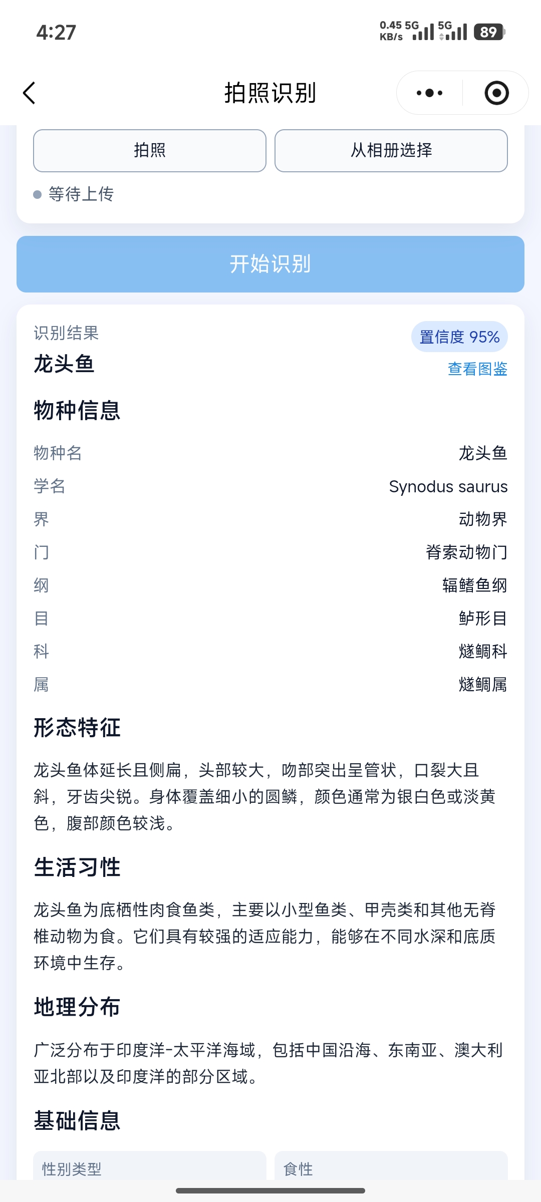 拍照识别截图:拍照识别海洋生物